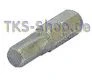 Bit für Inbus-Schrauben Gr. 6 Bits, H6, 6 mm Hex Bit